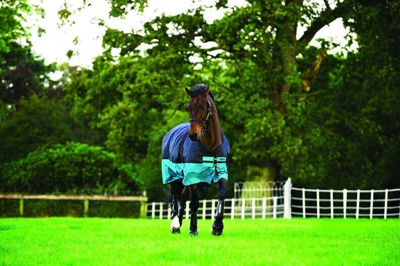 Picture of Horseware Mio Mediumweight 200g Horse Turnout Rug Blanket Medium weight 600D