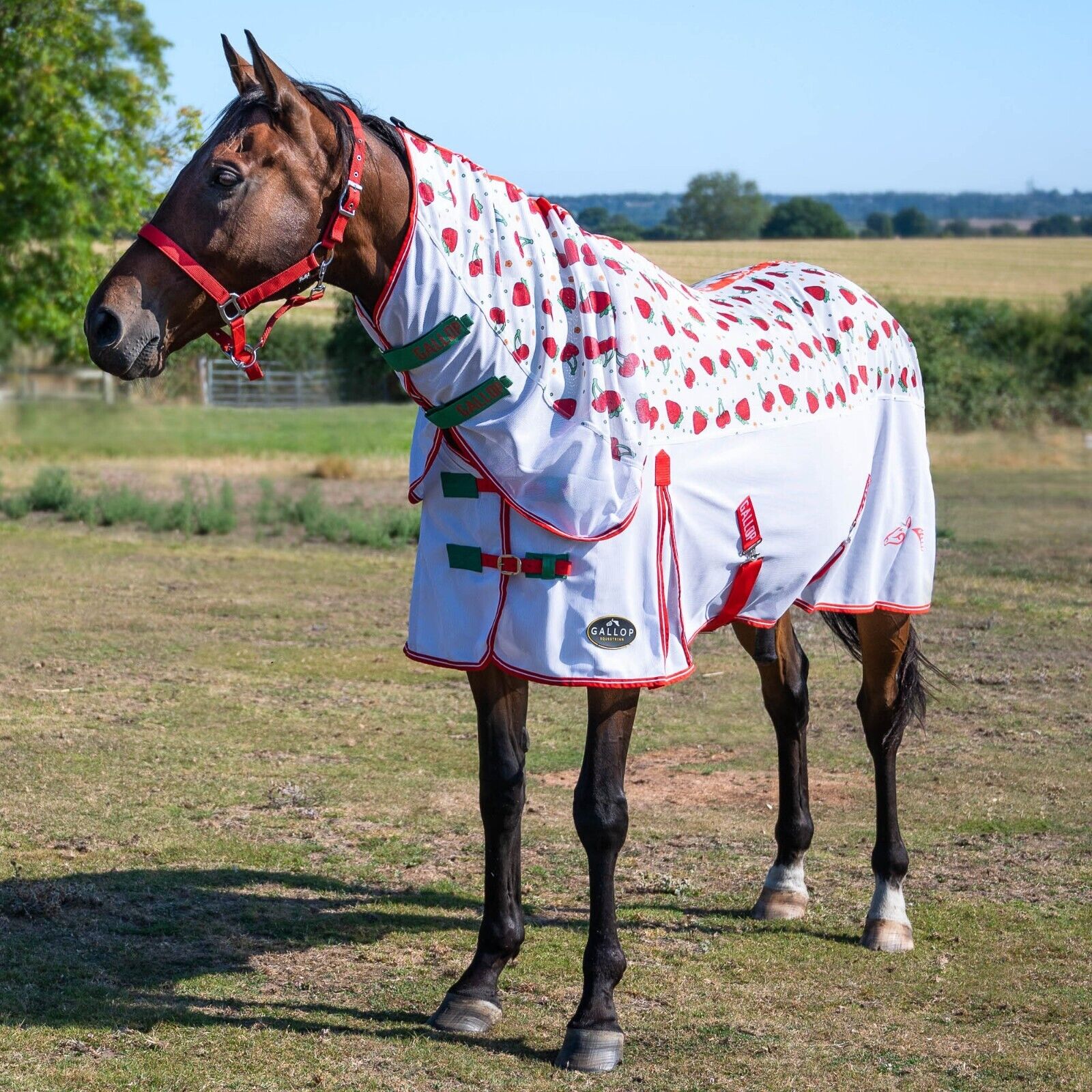 Picture of Gallop Berries & Cherries Fly Mesh Horse Rug Full Neck Combo | UV Protection