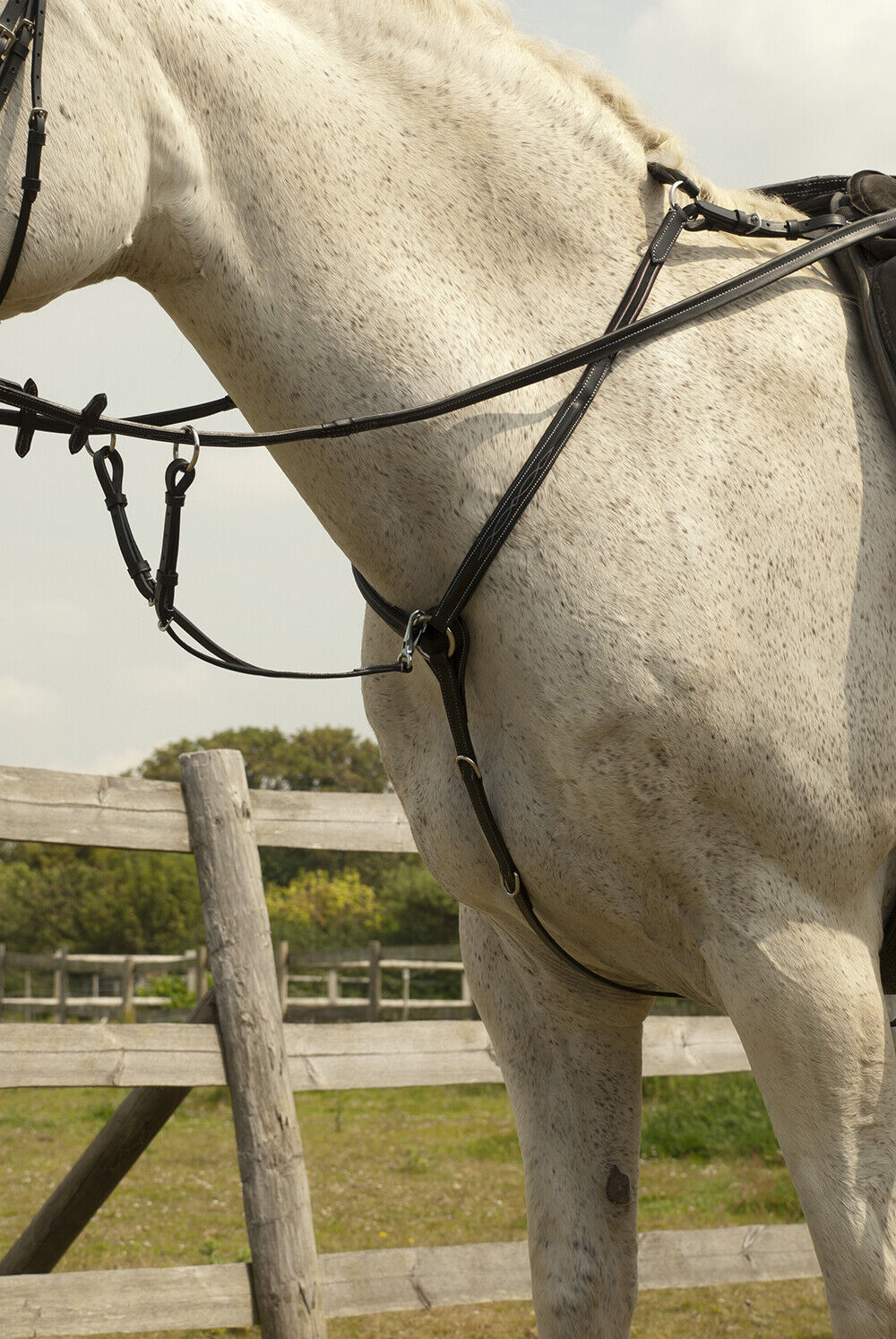 Picture of Rhinegold Elegance Leather Fancy Stitched Breastplate | Black or Havana |3 Sizes