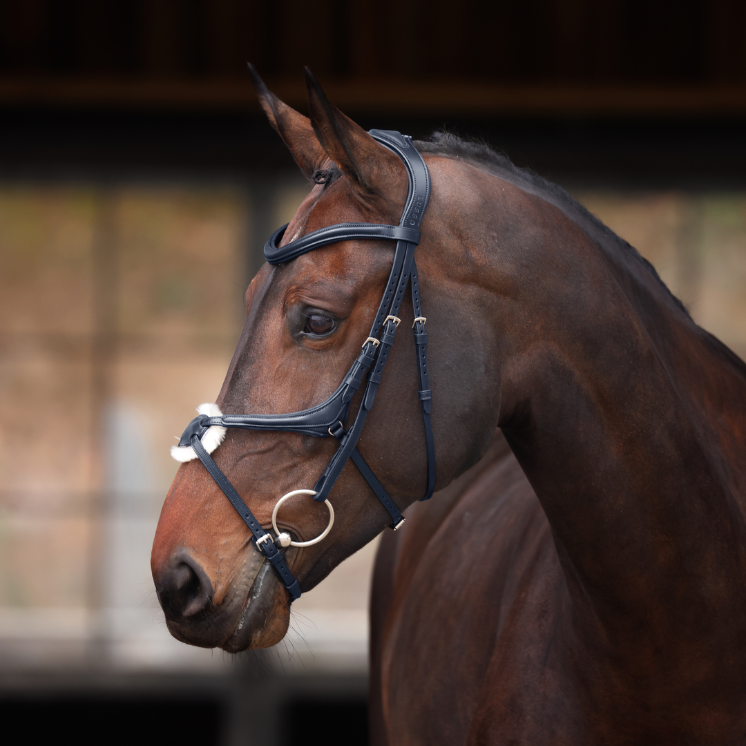 Picture of Bridle, Shires Velociti Lusso Elite Grackle Bridle, Black or Havana, 3 Sizes