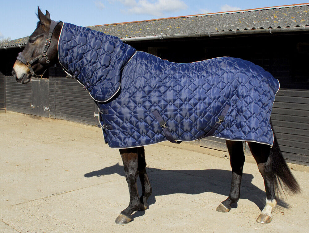 Picture of Rhinegold Texas Diamond 300g 600D Heavyweight Full Neck Combo Stable Rug | Navy