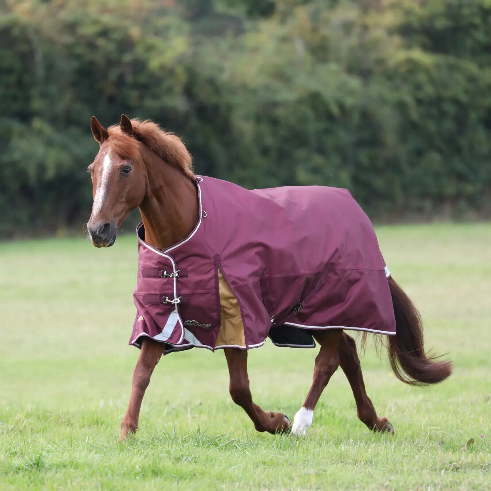 Picture of Shires Highlander Plus 100g Lightweight Turnout Rug Horse Pony, 5'0"-7'3"