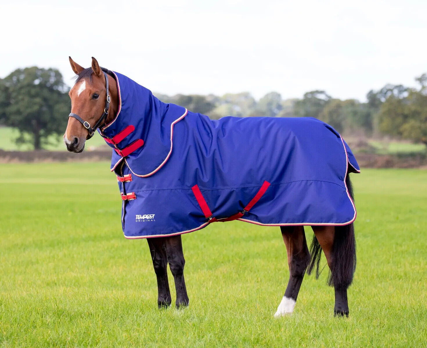 Picture of Shires Tempest Original 100g Horse Turnout Rug & Detachable Neck | Navy