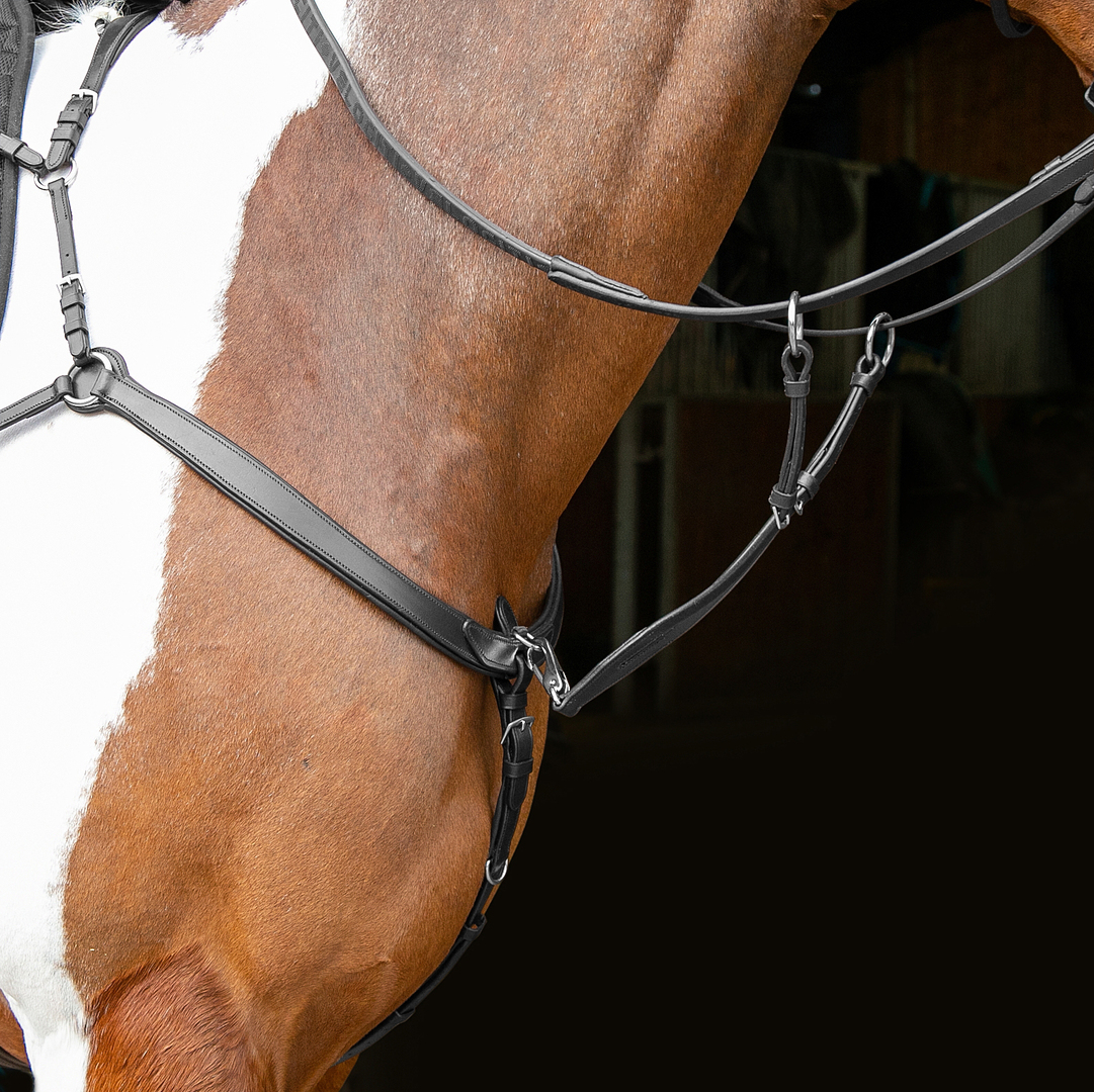 Picture of Shires Velociti Rapida Ergonomic Breastplate | 2 Colours | 3 Sizes