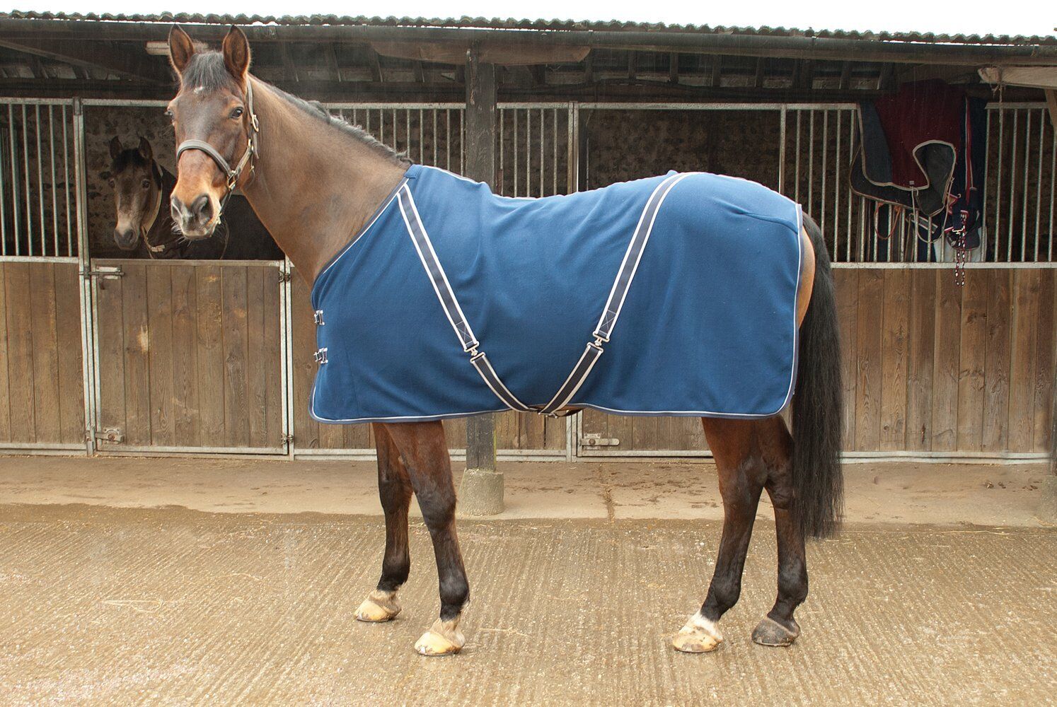Picture of Rhinegold Comfey Fleece Horse Rug | Red or Navy | Std Neck | 4'6"-7'0"