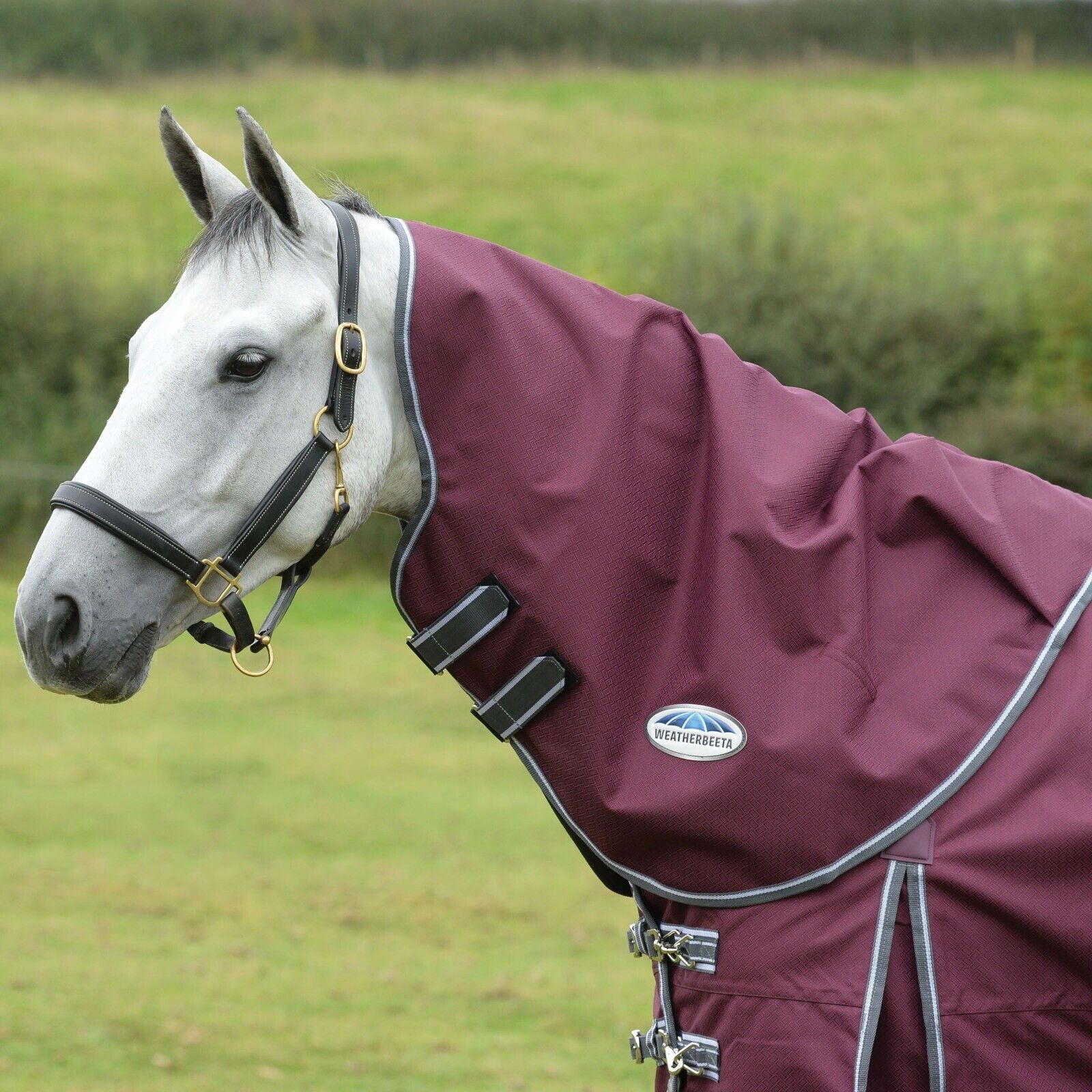 Picture of WeatherBeeta ComFiTec Plus Dynamic II Horse Neck Cover 100g, 1200den Medium/Lite