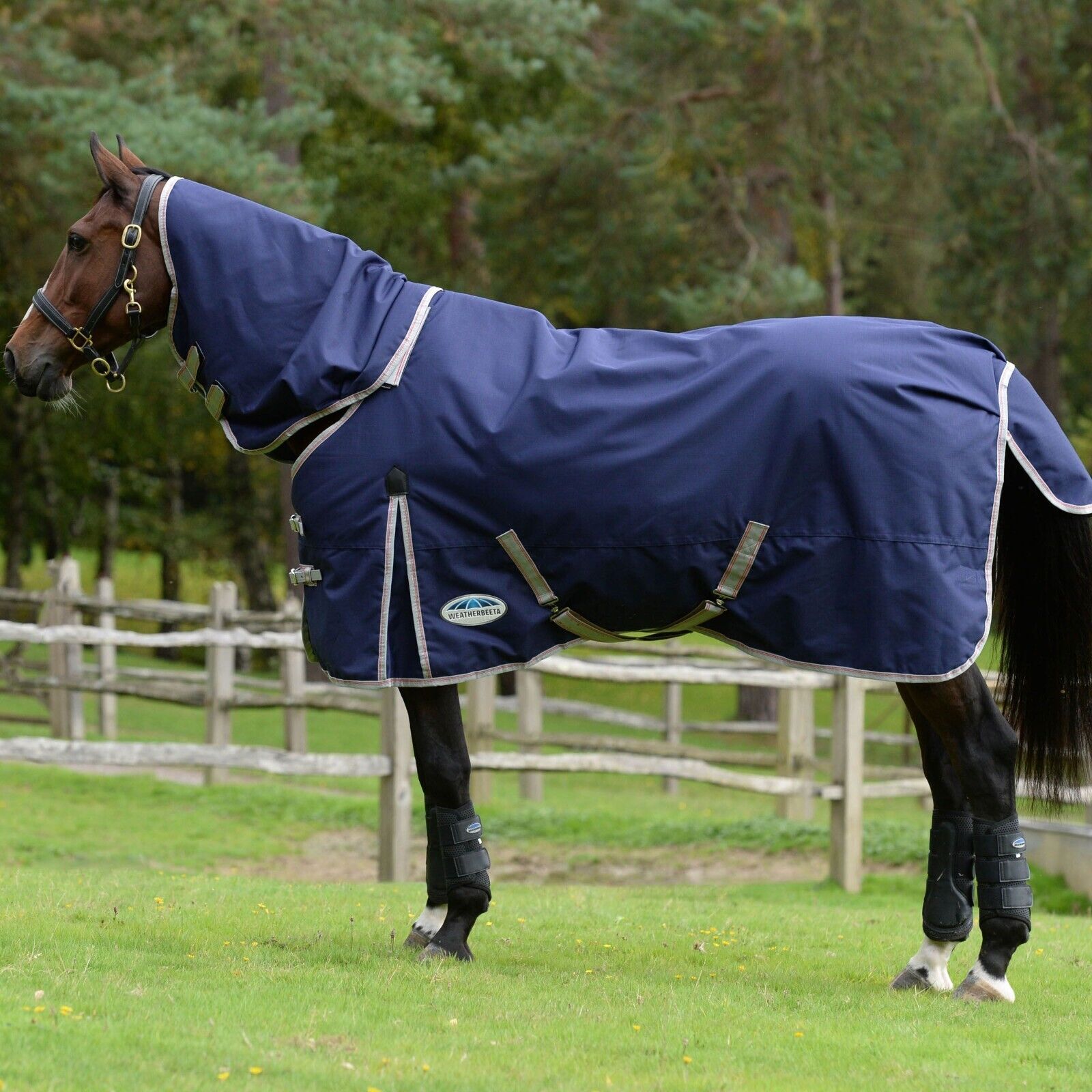 Picture of Weatherbeeta Comfitec Essential Turnout Rug 50g 1200D Lite Plus Detach-A-Neck