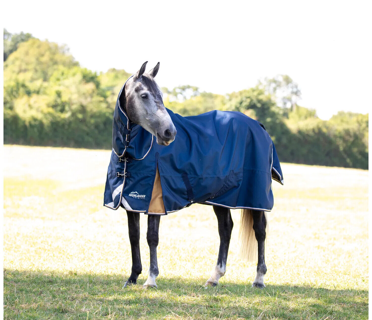Picture of Shires Highlander Plus Lite Combo Turnout Rug, Lightweight 0g, Full Neck