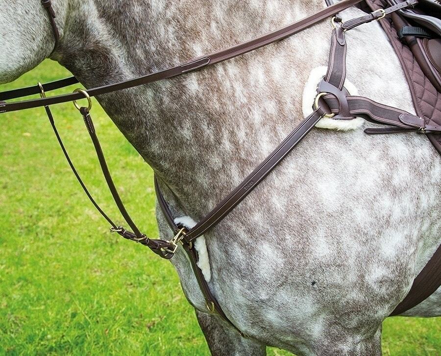 Picture of Shires Salisbury 5 Five Point Leather Breastplate And Martingale | 3 Colours