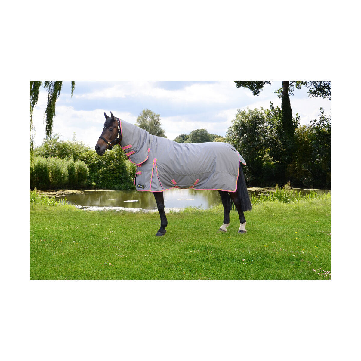 Picture of HY StormX Original 300g Horse Turnout Rug | Heavyweight | Full Neck Combo