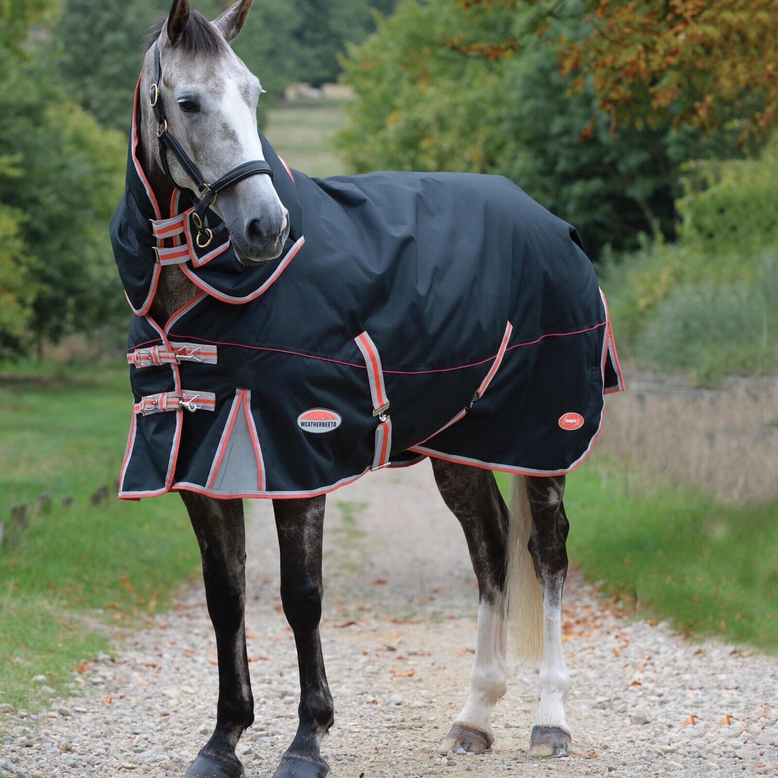 Picture of Weatherbeeta Comfitec Premier Turnout Rug, Therapy-Tec Detach-A-Neck, 50g, 1000D