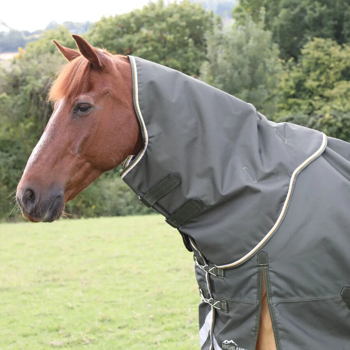 Picture of Shires Highlander Plus 50g Turnout Neck Cover, Lightweight