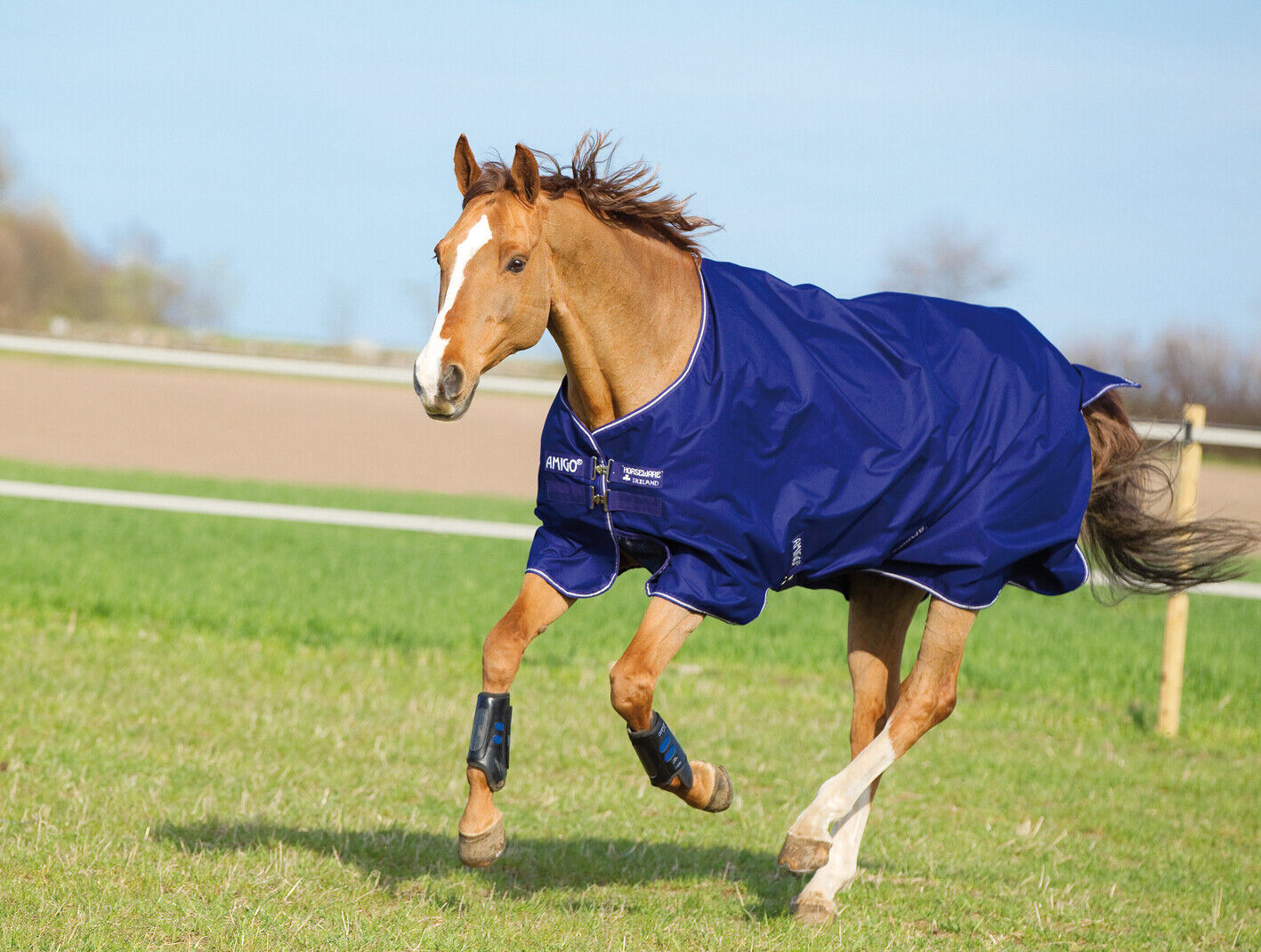Picture of Horseware Amigo Hero 900 Mediumweight 200g Horse Turnout Rug | Blue | Outdoor