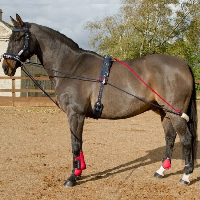 Picture of John Whitaker Training System Aid With Roller Lunging System | Adjustable
