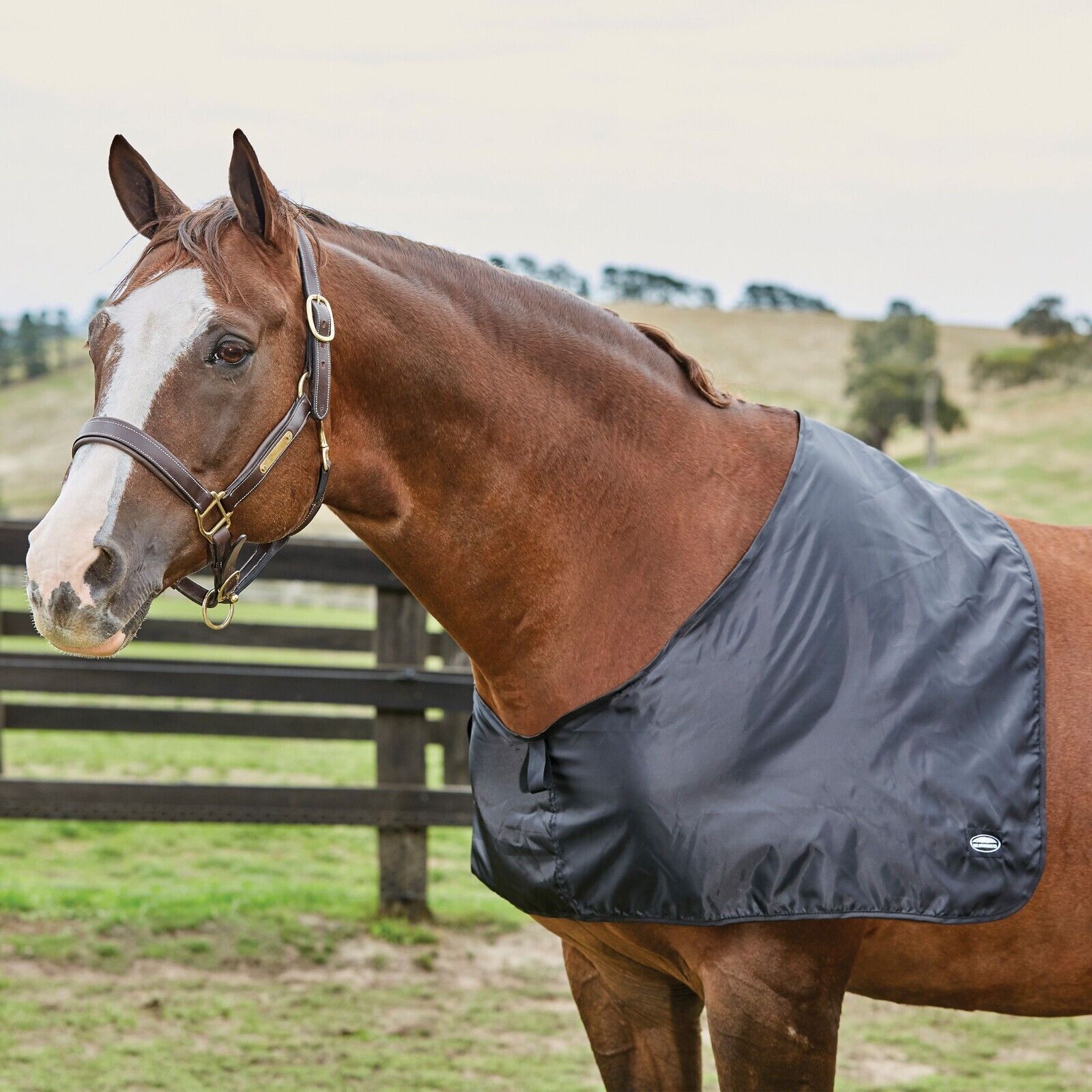 Picture of Weatherbeeta Satin Shoulder Guard,  Show Prep Anti Rub Horse Vest
