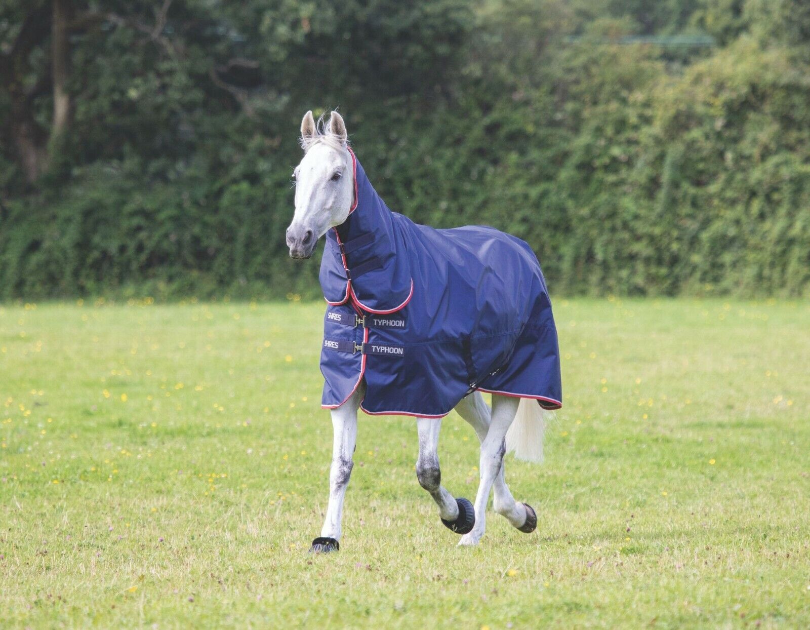 Picture of Shires Typhoon 100g Lightweight Full Neck Combo Horse/Pony Turnout Rug | Navy