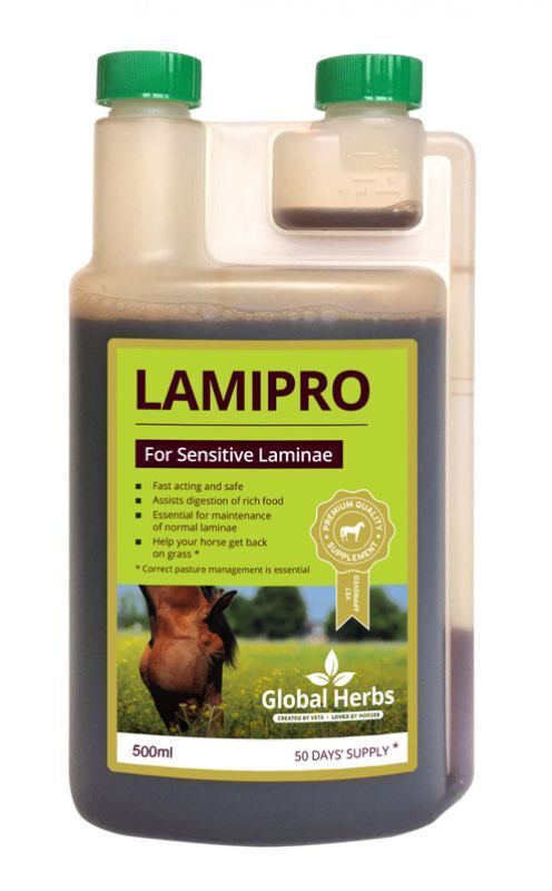 Picture of Global Herbs LamiPro Liquid, 500ml or 1 ltr.  For Laminitis Prone Horses/ponies