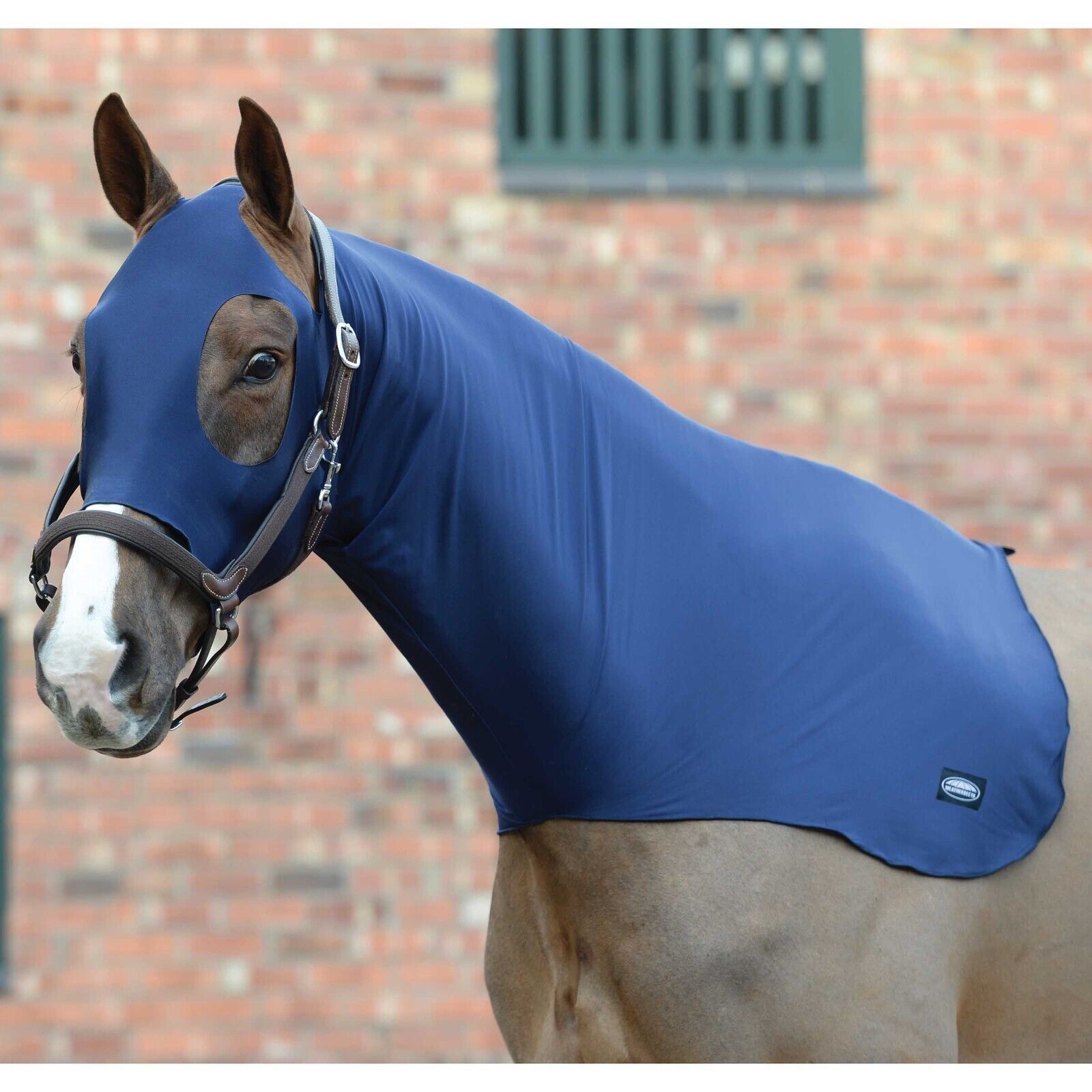 Picture of Weatherbeeta Stretch Hood,  Show Prep Horse Neck Hood.