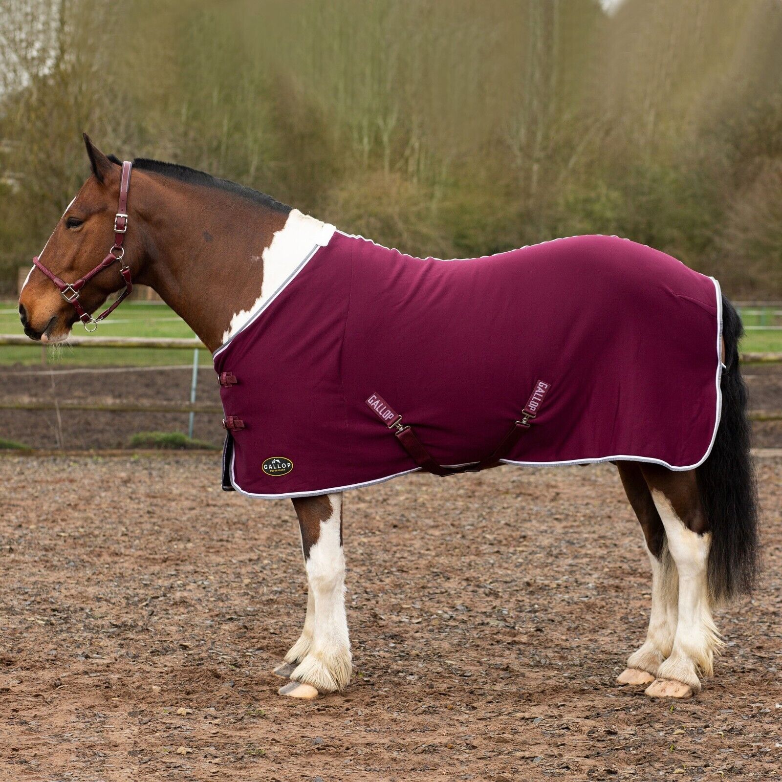 Picture of GALLOP Jersey Cooler / Travel Horse Rug | Lightweight | 4'9" - 7'0", 4 Colours