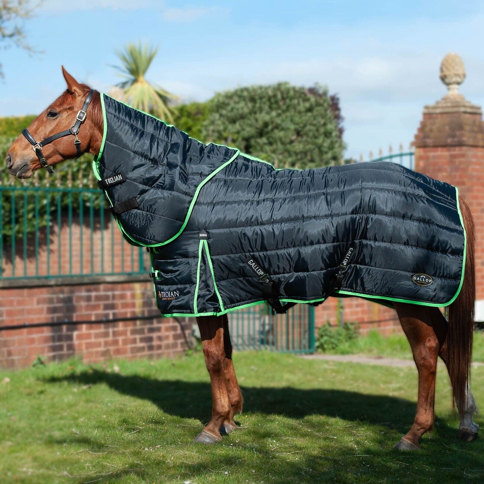 Picture of Gallop Trojan Dual 300g Horse Indoor Stable Rug & Neck Set Heavyweight Quilt