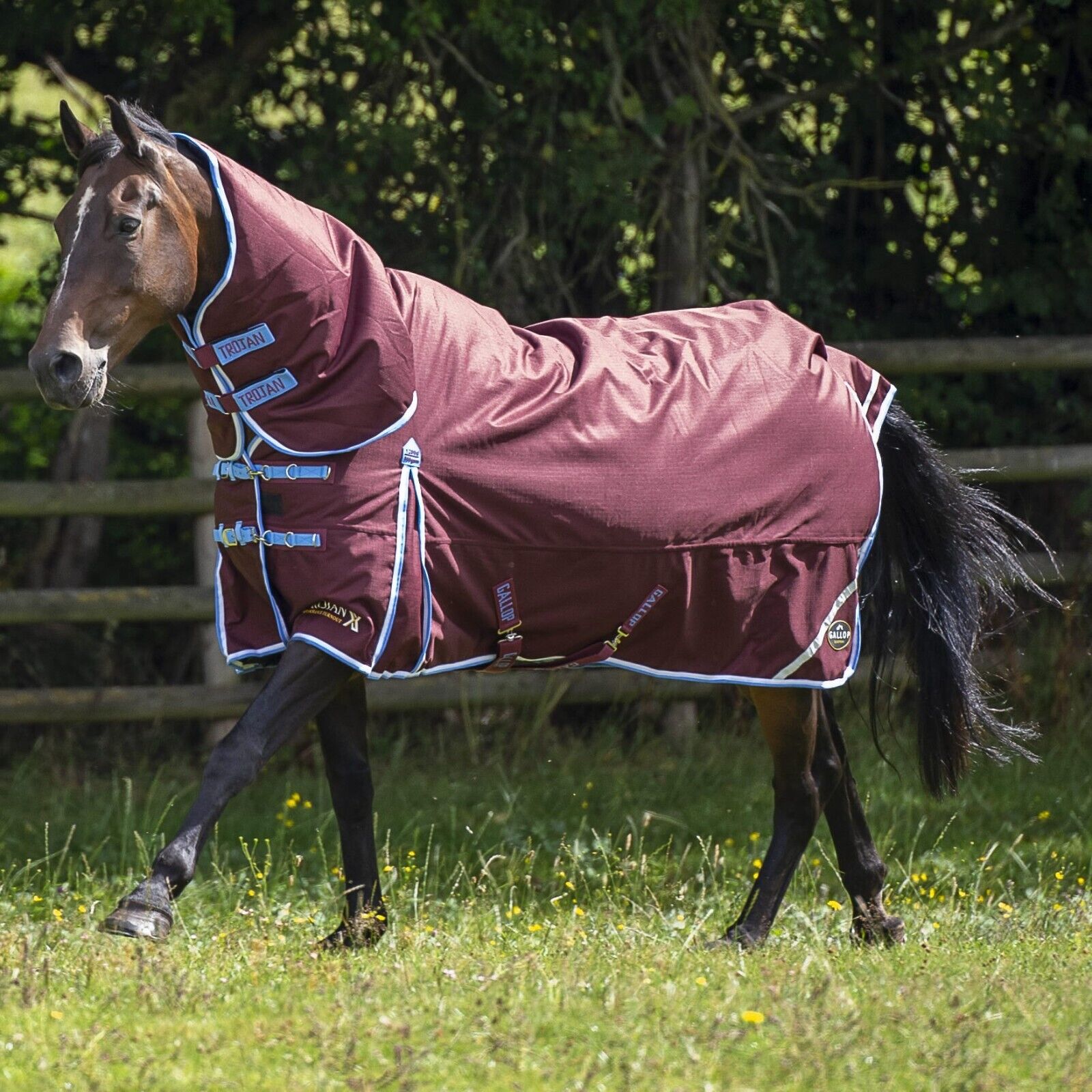 Picture of Gallop Trojan Xtra 350g 1200denier Heavyweight Horse Turnout Rug Combo Full Neck