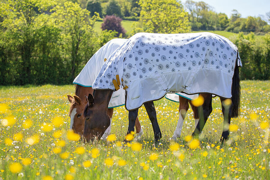 Picture of Shires Tempest Original Dandelion Pattern Fly Rug Full Neck Combo | 4'0"-7'3"