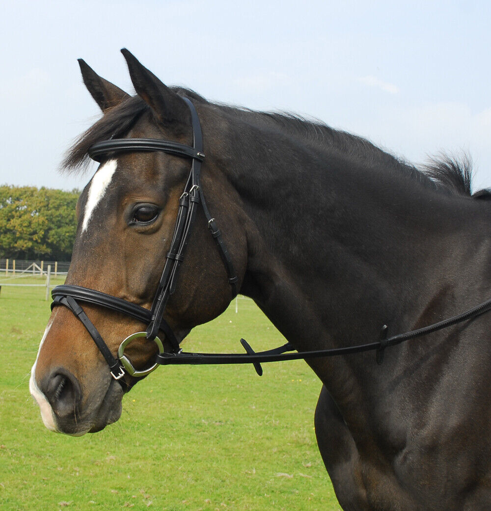 Picture of Heritage Leather Horse Bridle with Flash Noseband | Black or Havana | 4 Sizes