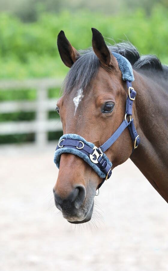 Picture of Shires Horse Lunging Cavesson | Fleece Lined | 4 Sizes Adjustable | 3 Colours