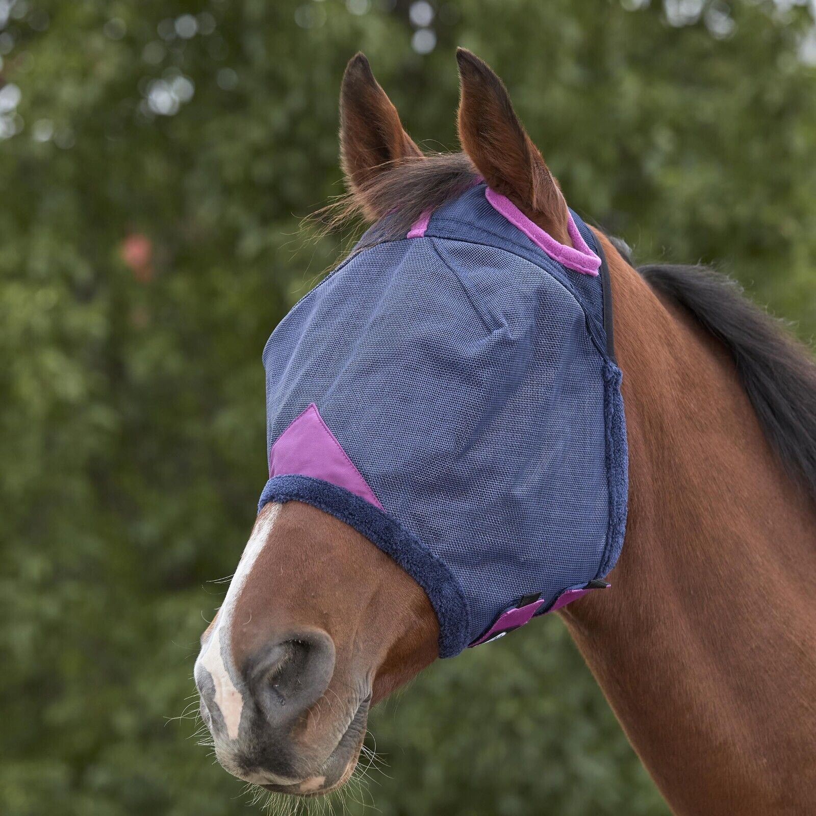 Picture of WeatherBeeta ComFiTec Deluxe Durable Mesh Fly Mask, No Ears, UV Protect