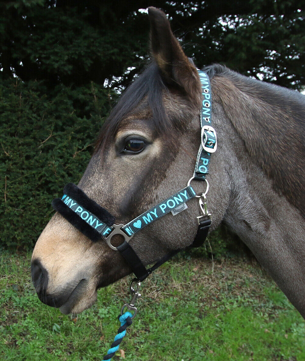Picture of Rhinegold Love My Pony Headcollar & Lead Rope Set | 7 Colours | 4 Sizes