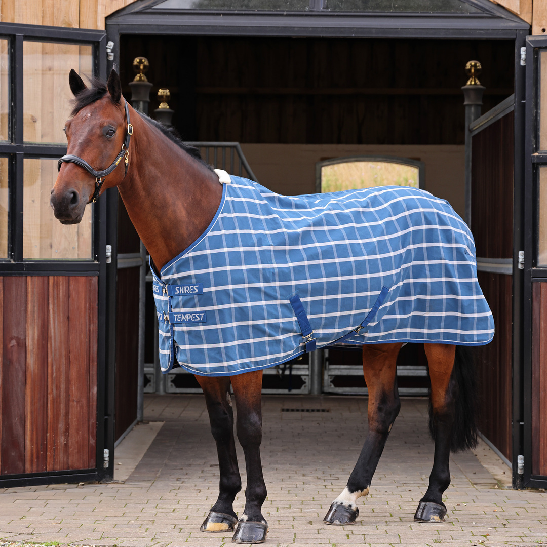 Picture of Shires Tempest Original Horse Stable Sheet |  5 Colours | Sizes 4'6"-7'0"