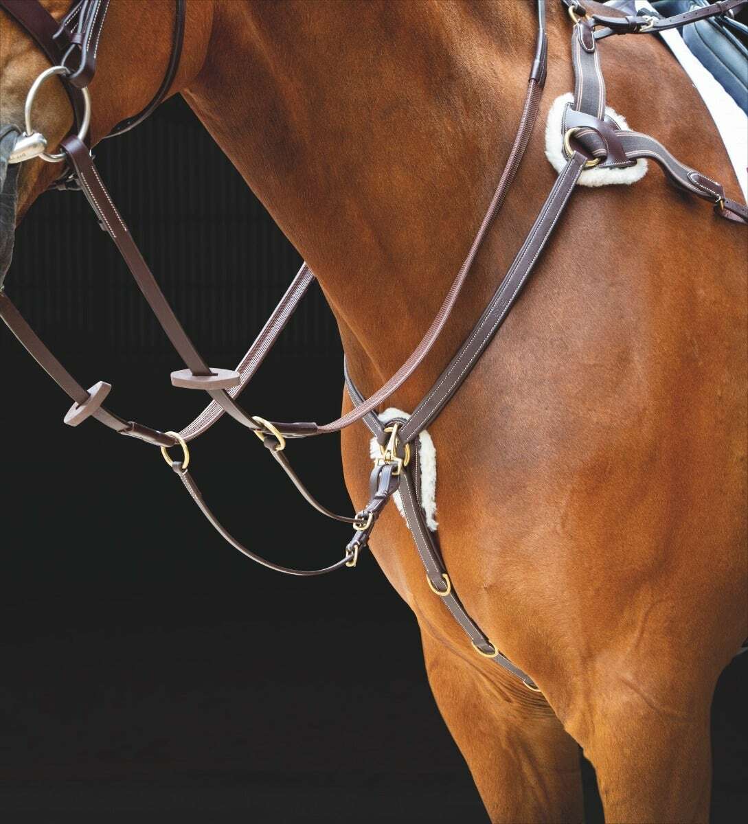 Picture of Shires Salisbury 5 Five Point Leather Breastplate And Martingale | 3 Colours