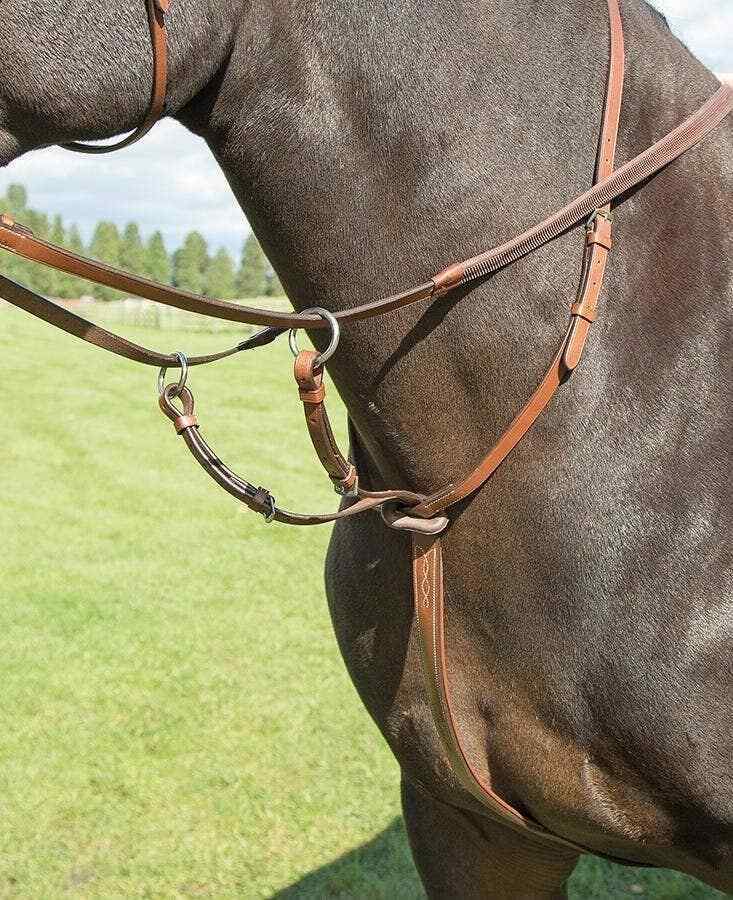 Picture of Shires Avignon Leather Running Martingale | 3 Colours