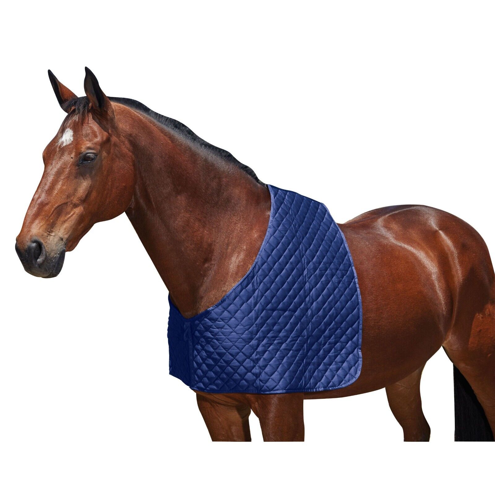 Picture of Weatherbeeta Deluxe Shoulder Guard,  Show Prep Anti Rub Horse Vest