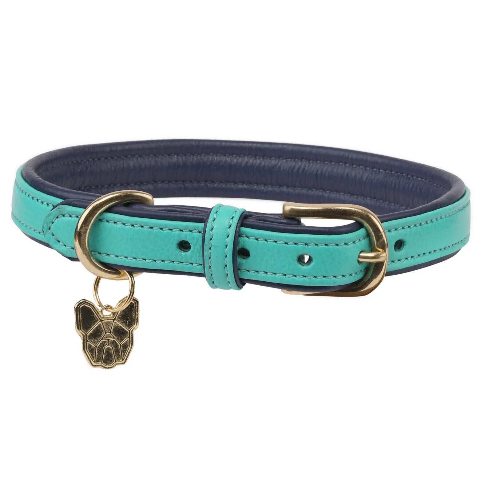 Picture of Shires Digby & Fox Padded Leather Dog Collar | 8 Sizes | 7 Colours