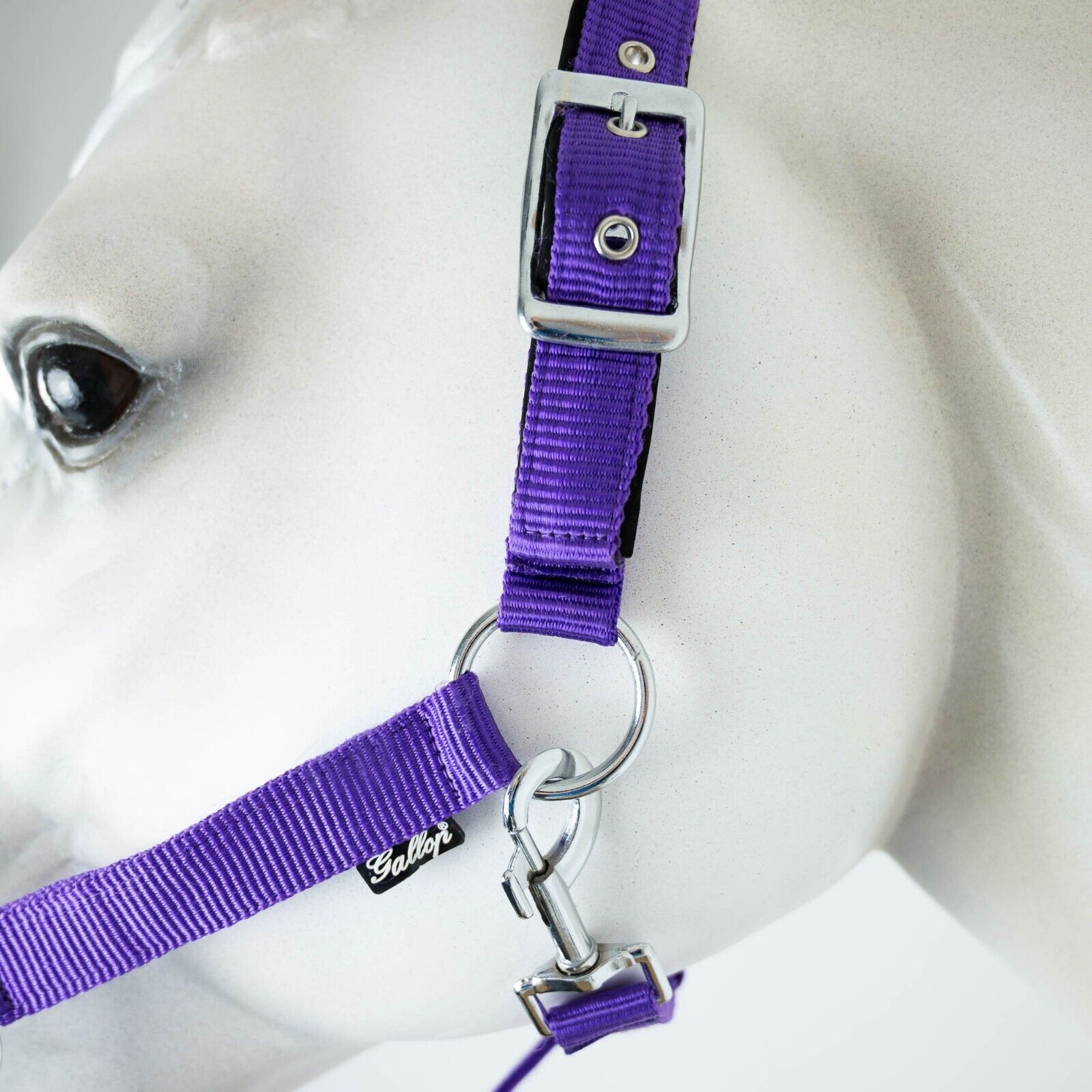 Picture of Gallop Padded Premium Headcollar Heavy Duty Fittings, Adjustable, Clip Fastening