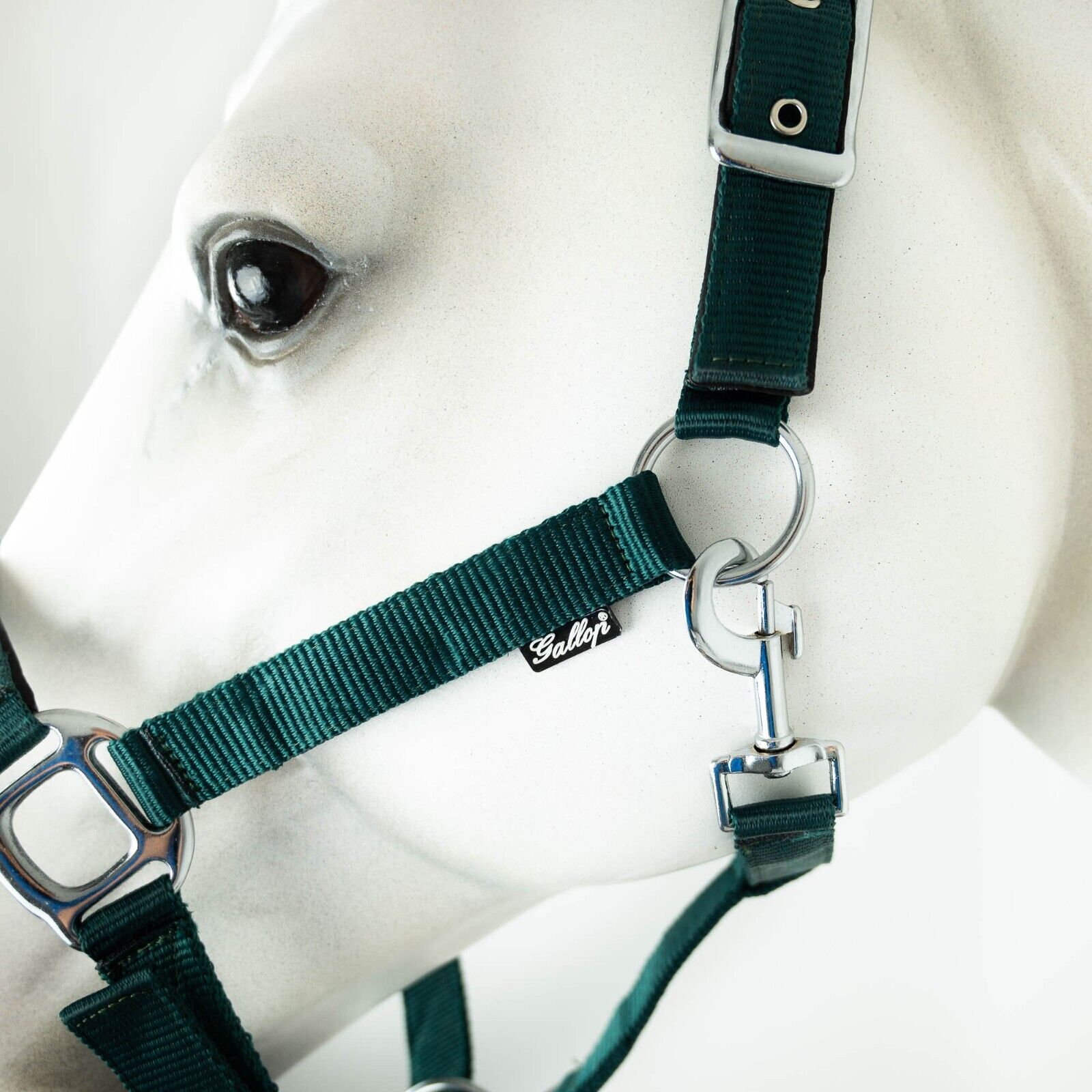 Picture of Gallop Padded Premium Headcollar Heavy Duty Fittings, Adjustable, Clip Fastening