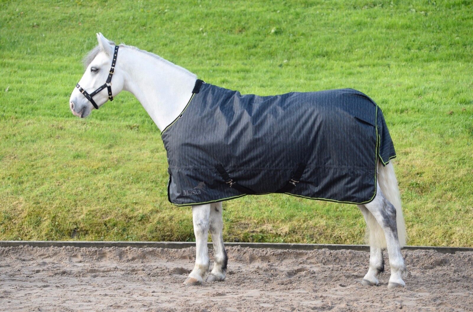 Picture of Masta Mediumweight Horse Turnout Rug,   Avante 170g 600 Denier