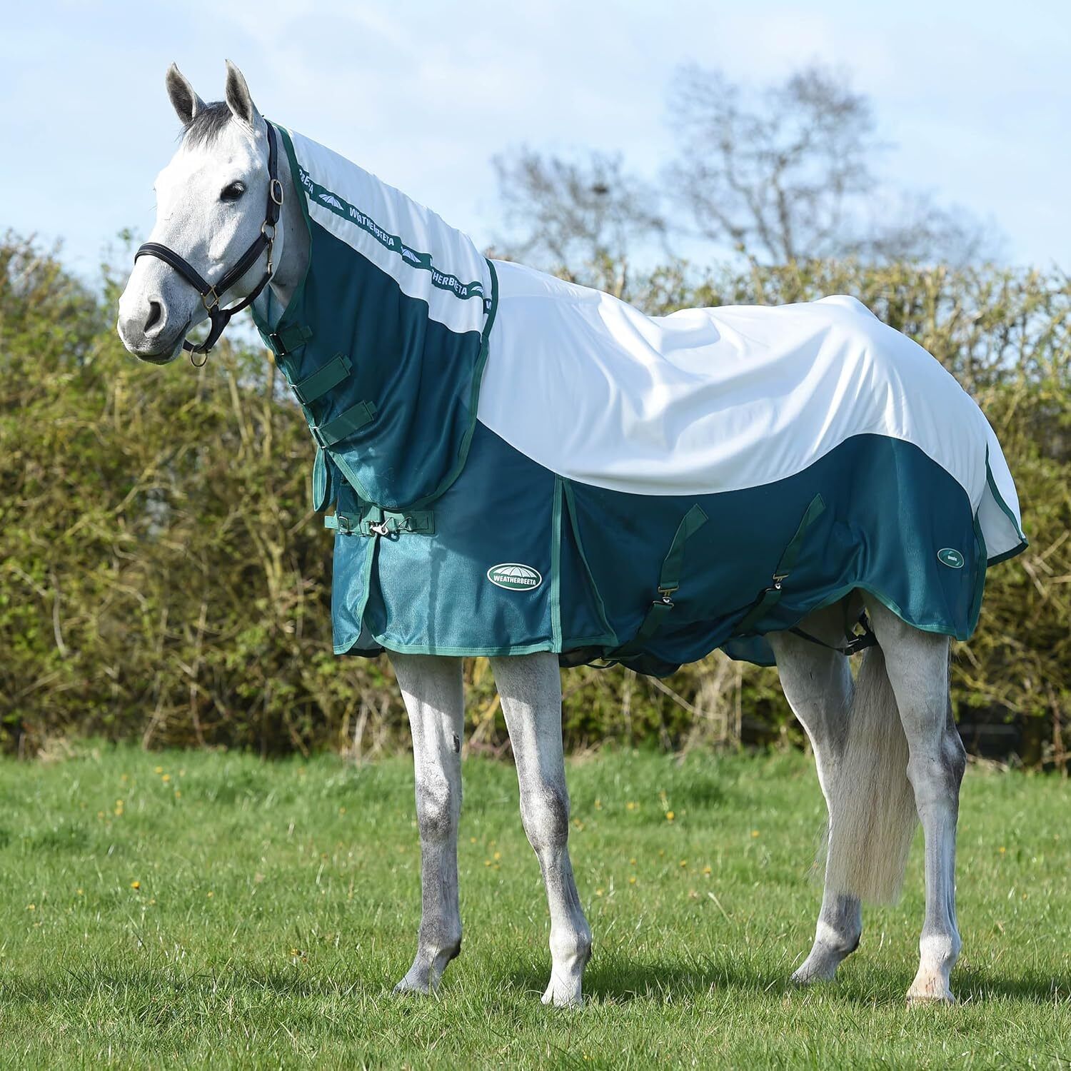 Picture of WeatherBeeta Green-Tec Airflow Mesh Fly Rug Combo Neck, White/Dragonfly Blue