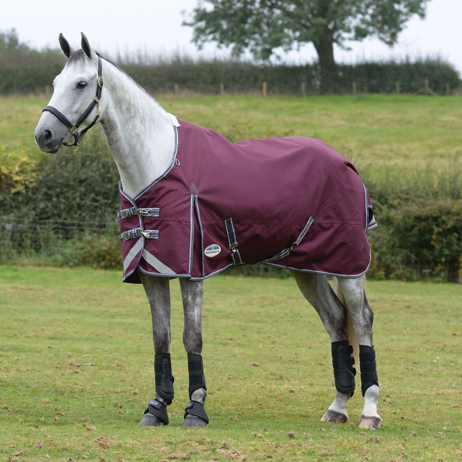 Picture of Weatherbeeta Comfitec Plus Dynamic II Turnout Rug 100g 1200D Medium,  Std Neck