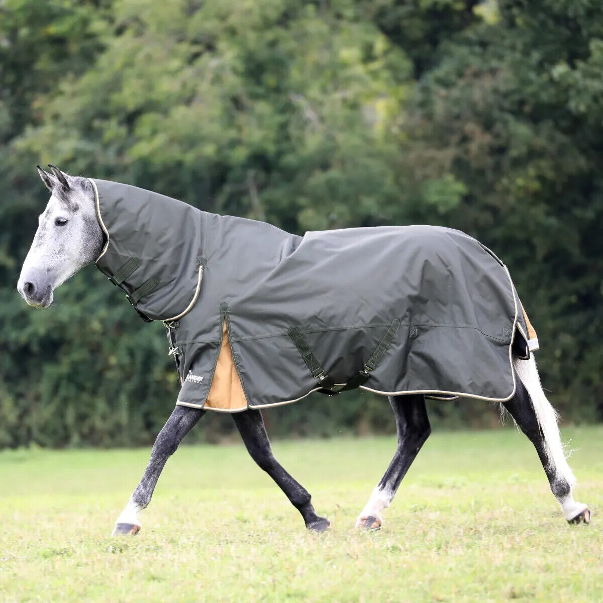 Picture of Shires Highlander Plus 50g Combo Turnout Rug, Lightweight, Full Neck