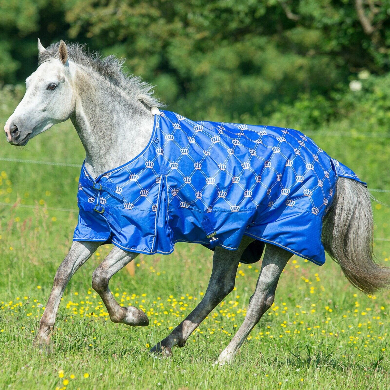 Picture of Gallop Trojan Monarch 0g nofil  Lightweight Outdoor Horse Turnout Rug 600 Denier