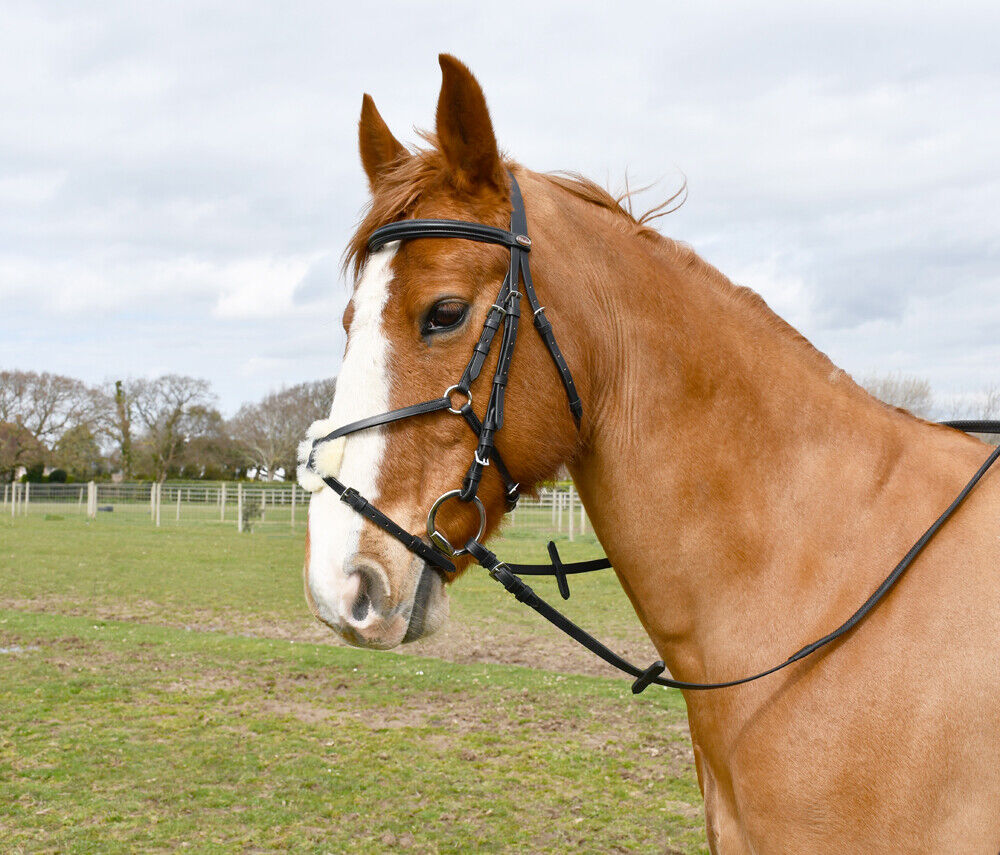 Picture of Mexican Leather Horse/Pony Bridle by Windsor Equestrian inc Rubber Covered Reins