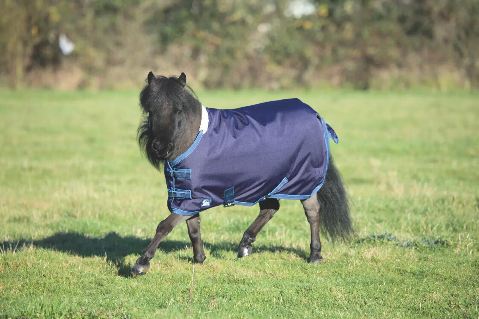 Picture of Shires Tempest Original Lite 200G Mini Pony Turnout Rug, 600Denier, Mediumweight