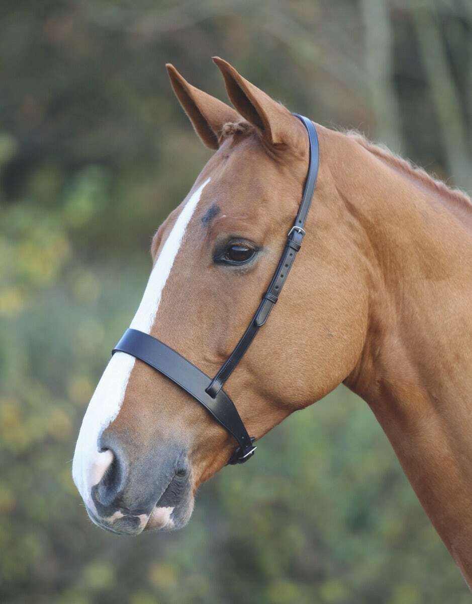 Picture of Shires Velociti Gara Hunter Cavesson Noseband | 2 Colours | 3 Sizes