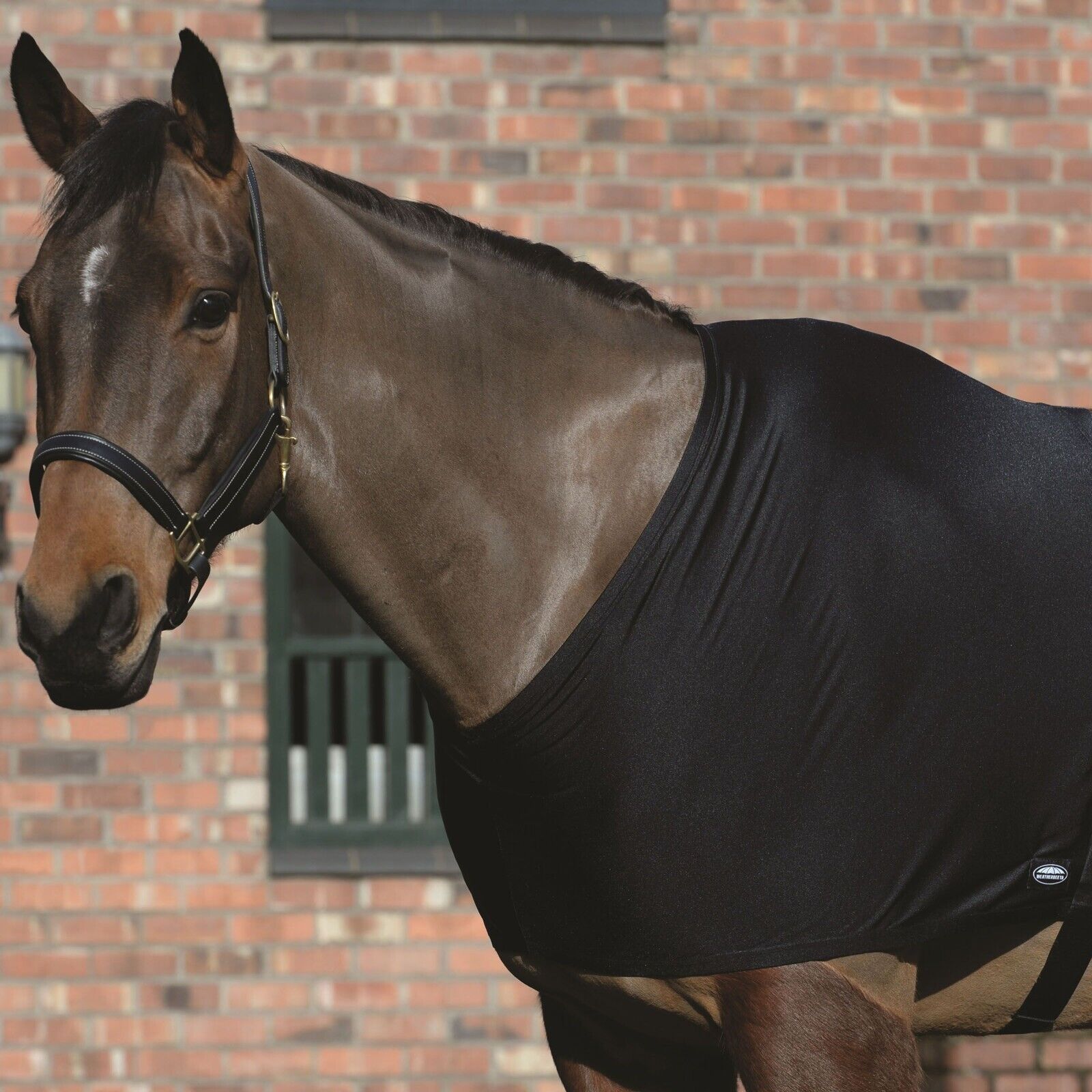 Picture of Weatherbeeta Stretch Shoulder Guard,  Show Prep Anti Rub Horse Vest