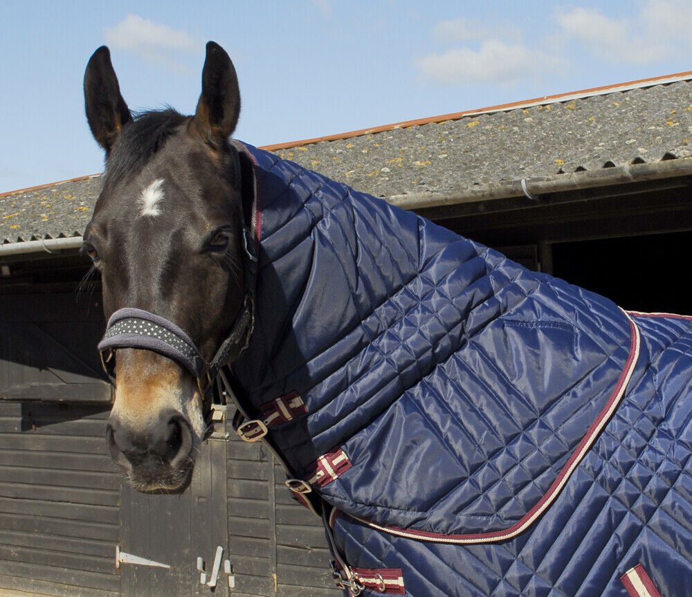 Picture of Rhinegold Dallas Chevron 200g Mediumweight Stable Horse Rug Neck Cover