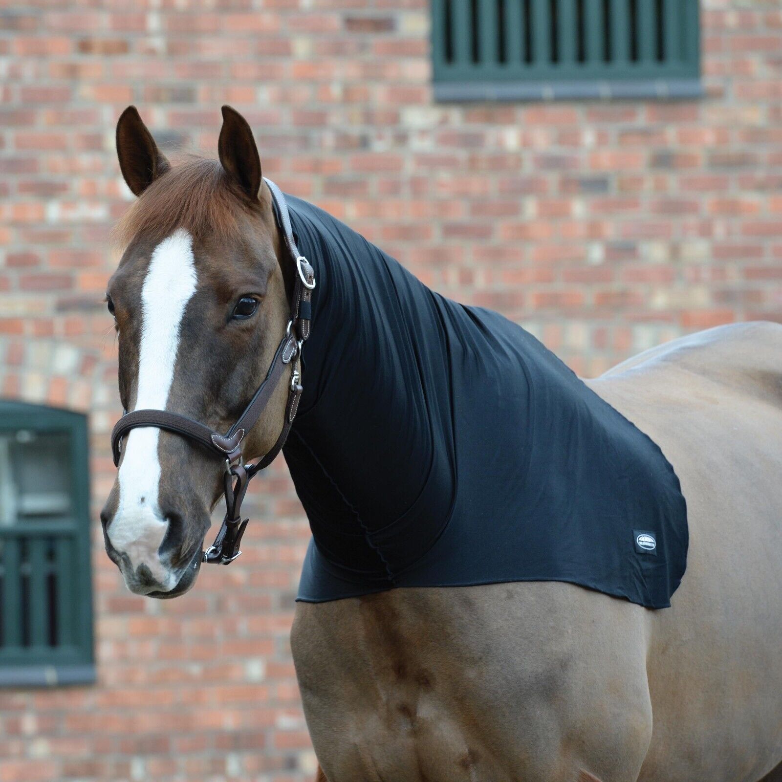Picture of Weatherbeeta Stretch Neck Hood,  Show Prep Horse Neck Hood.