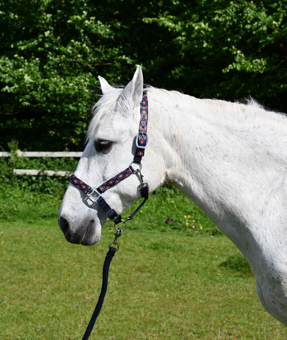 Picture of Rhinegold Diamond Pattern Padded Headcollar & Rope Set | 4 Colours | Adjustable