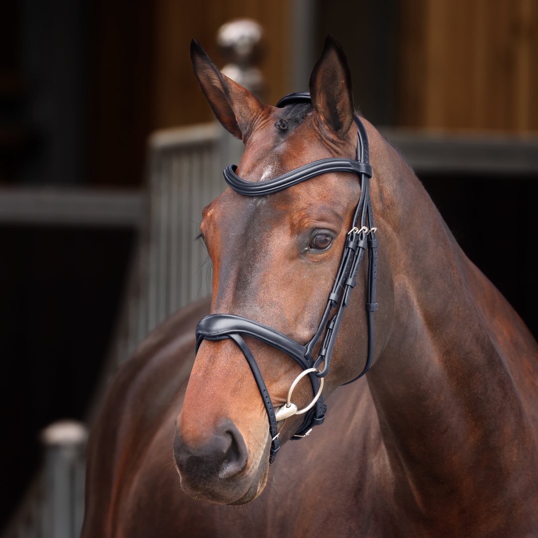 Picture of Bridle, Shires Velociti Lusso Elite Flash Bridle, Black or Havana, 4 Sizes